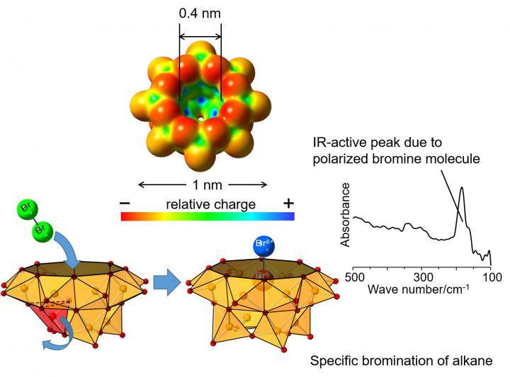 Polarization of Br2 molecule in vanadium oxide cluster cavity and new alkane bromination