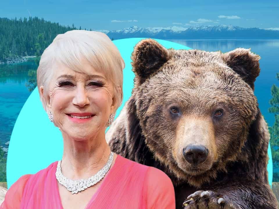 Dame Helen Mirren casually chased away ‘great big black bear’ that wandered into her garden