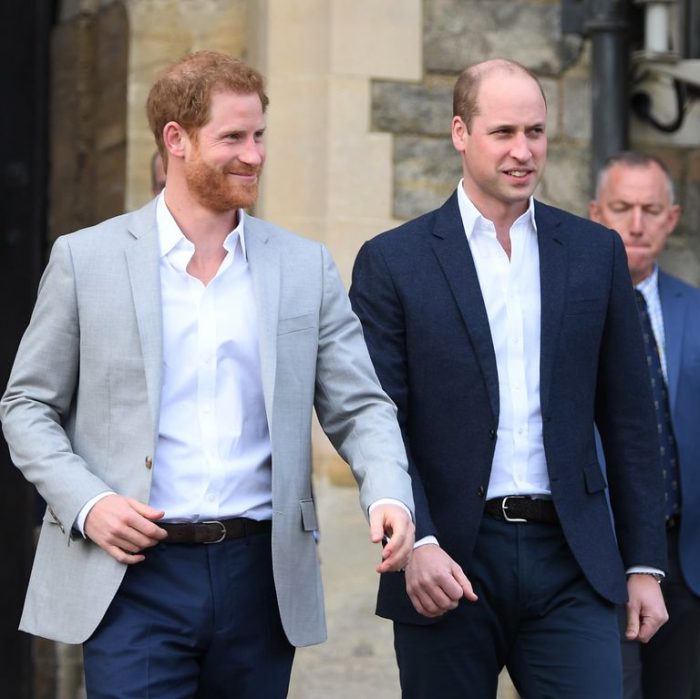 Prince Harry And Prince William To Split Money From Princess Diana’s Memorial Fund