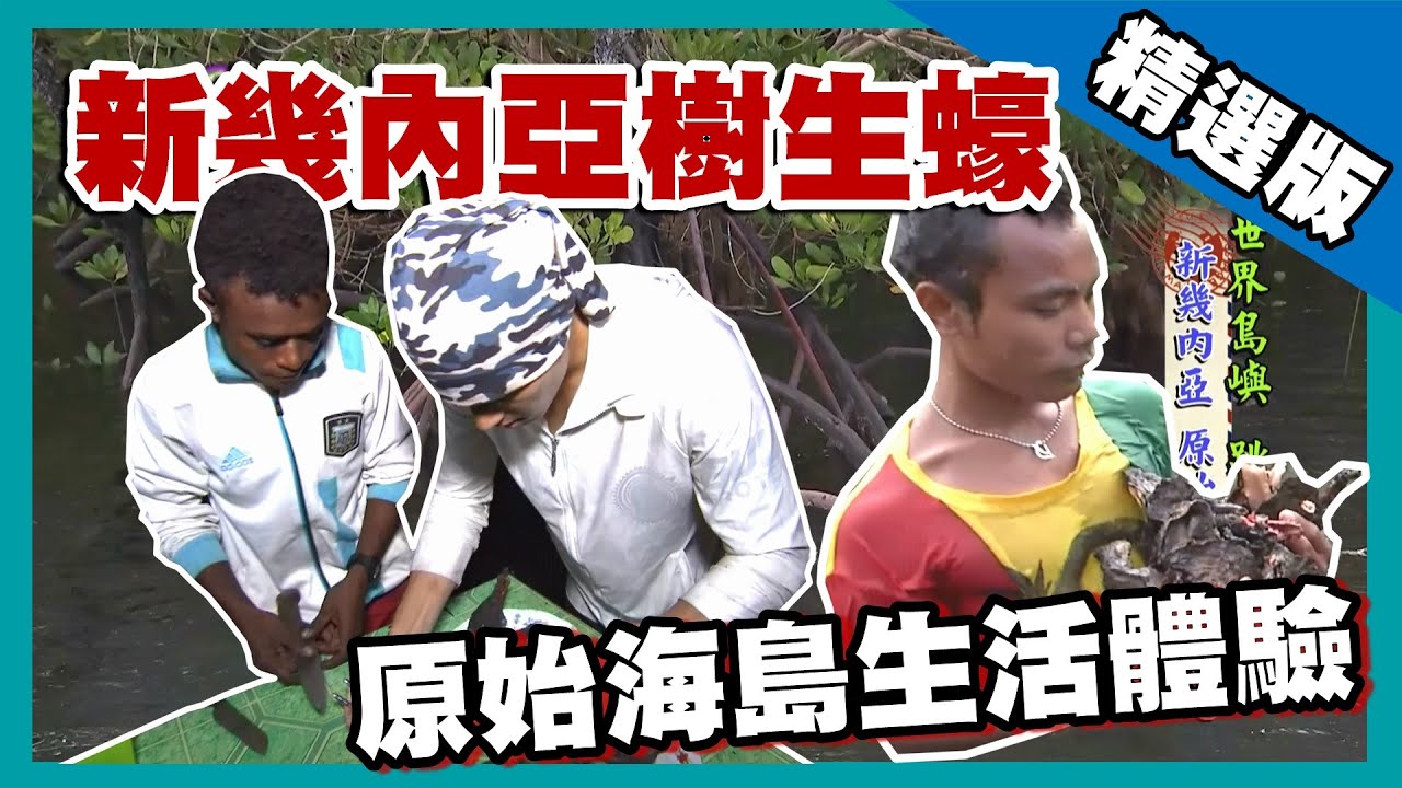 【新几内亚】原始海岛生活 下水找寻树生蚝｜《世界第一等》691集精华版