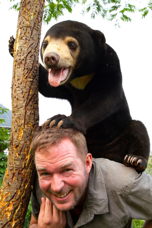 Vile bear bile farms see cute cubs' bladders drained in 'barbaric' practice