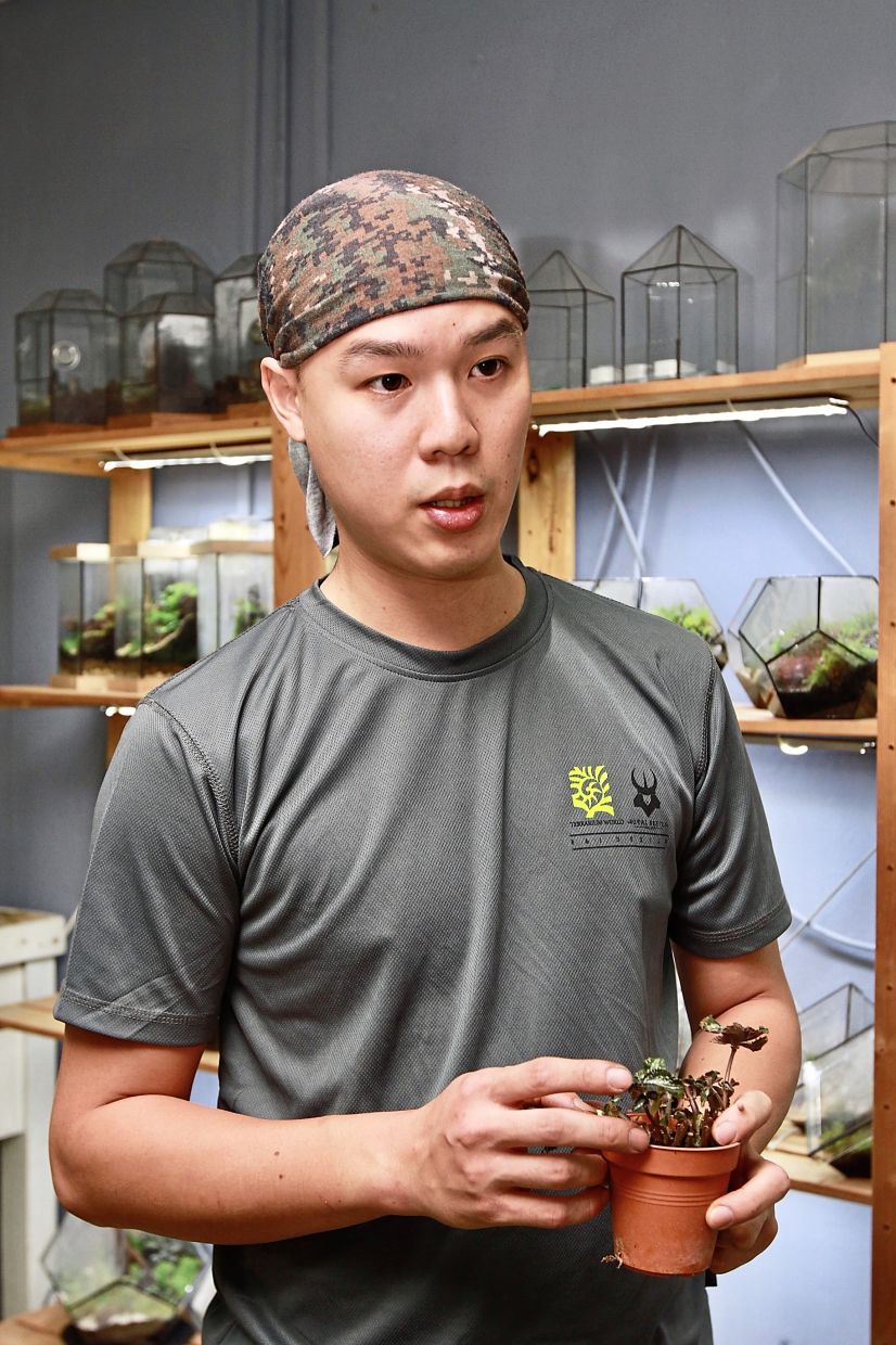Malaysian terrarium artist gives us a peek into the world of miniature gardens