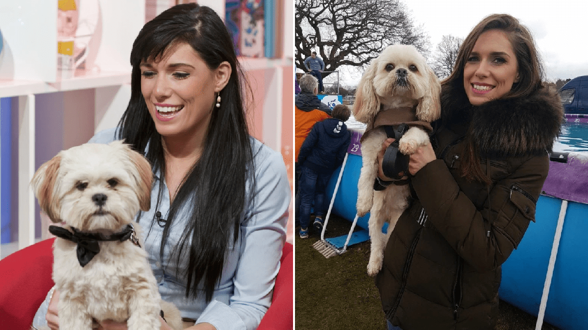 Britain’s Got Talent singing dog Buddy struck by van as owner Pippa Langhorne makes public plea to raise funds