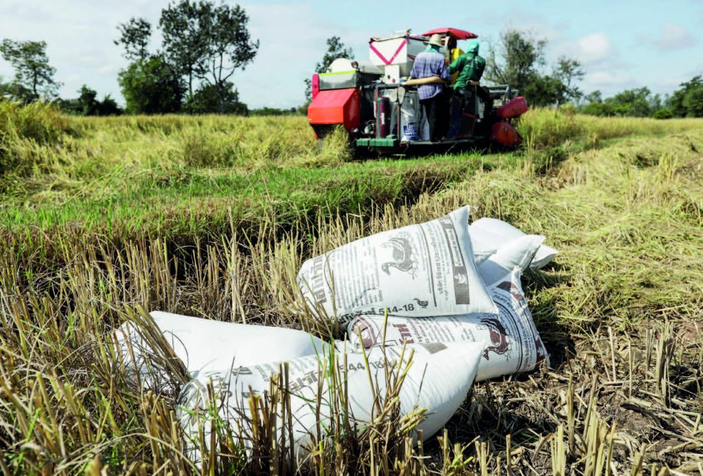 Thailand eyes exports of 6m tonnes of rice in 2021