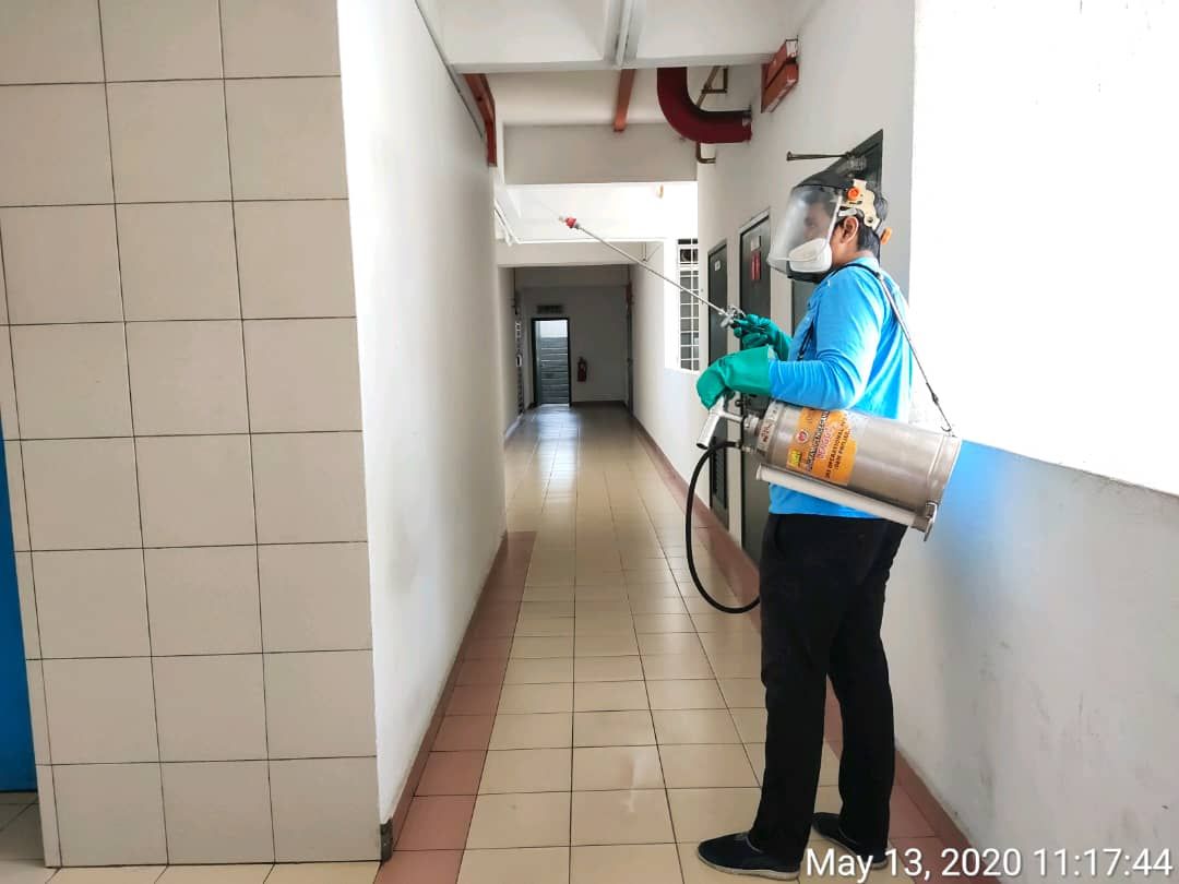 Preventing dengue before any cases occur