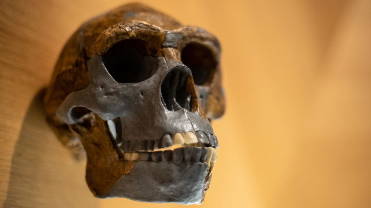 Mystery ancestor mated with ancient humans. And its 'nested' DNA was just found.
