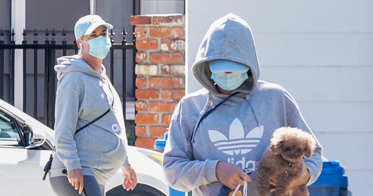 Heavily pregnant Katy Perry masks up as she and pup Nugget visit friends ahead of due date