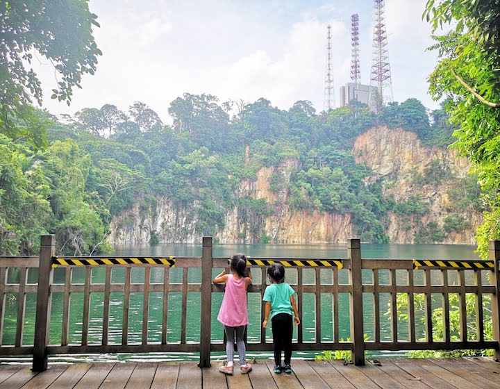 Guide to Bukit Timah Nature Reserve & Hindhede Nature Park