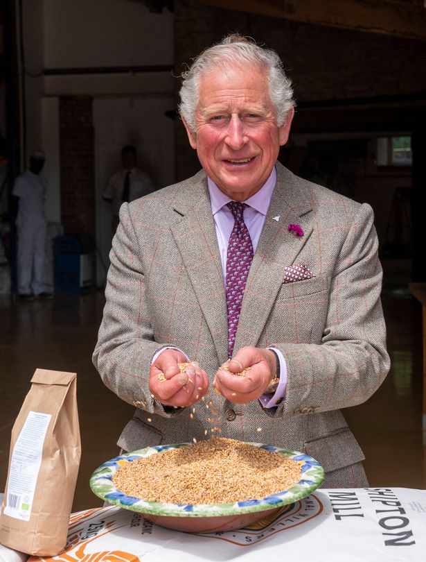 Prince Charles' ex-butler shares 'right' way to make royal tea - and stirring is key