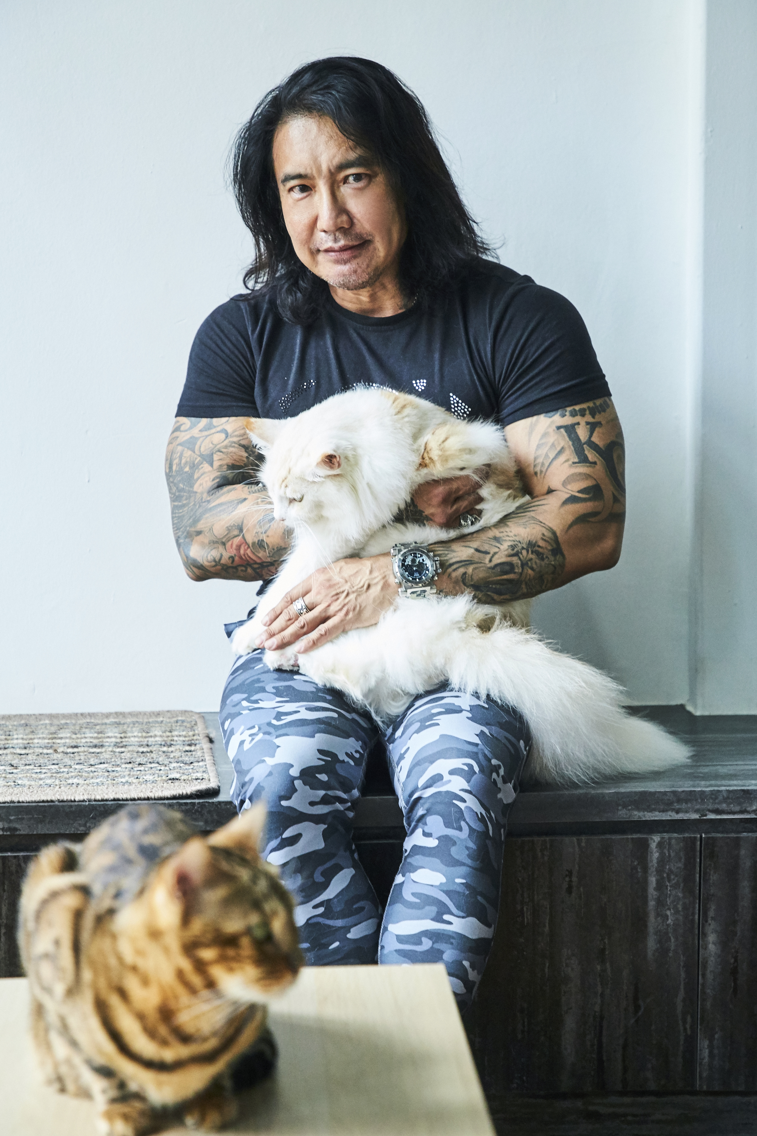 Cat Boarding House Hit By Covid-19 Slump Turns Into Café With 22 Kitties