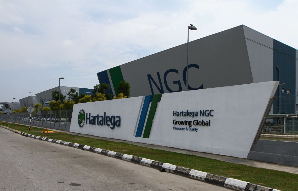 Hartalega likely to see record 643% surge in earnings