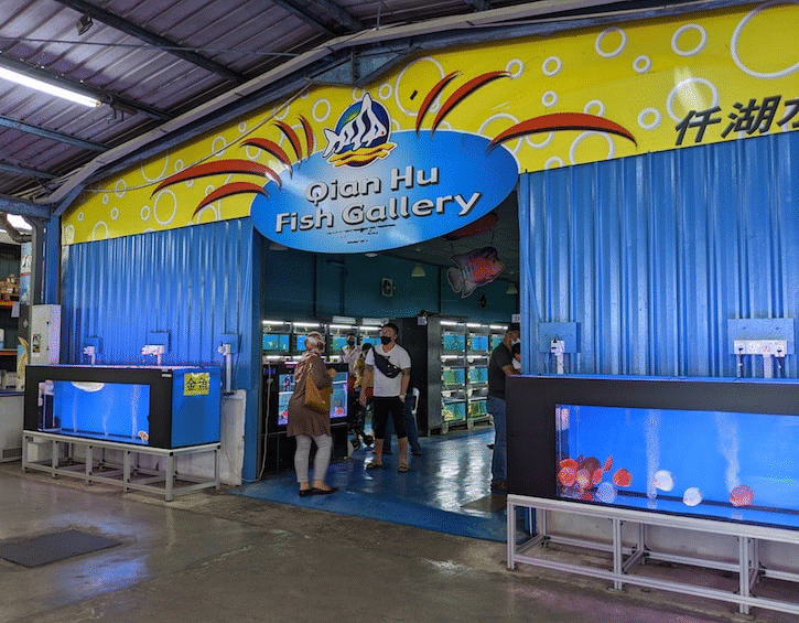 Kid-friendly Guide to Qian Hu Fish Farm