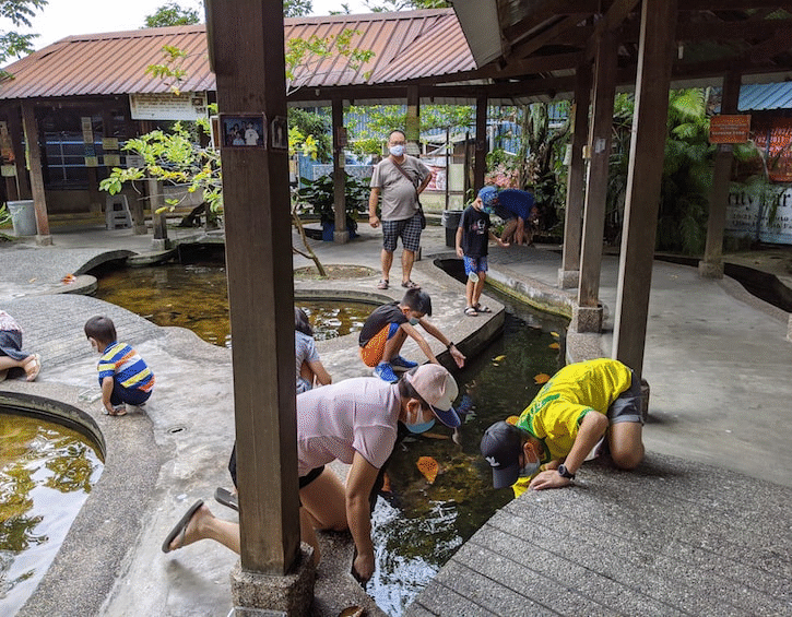 8 Kid-Friendly Animal Farms to Visit in Singapore in 2020