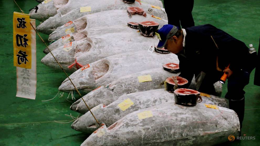 Japan's tuna market, the world's largest, hit hard by COVID-19 pandemic