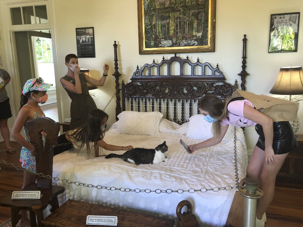 Mutant cats still a draw at Hemingway's virus-hit Florida home