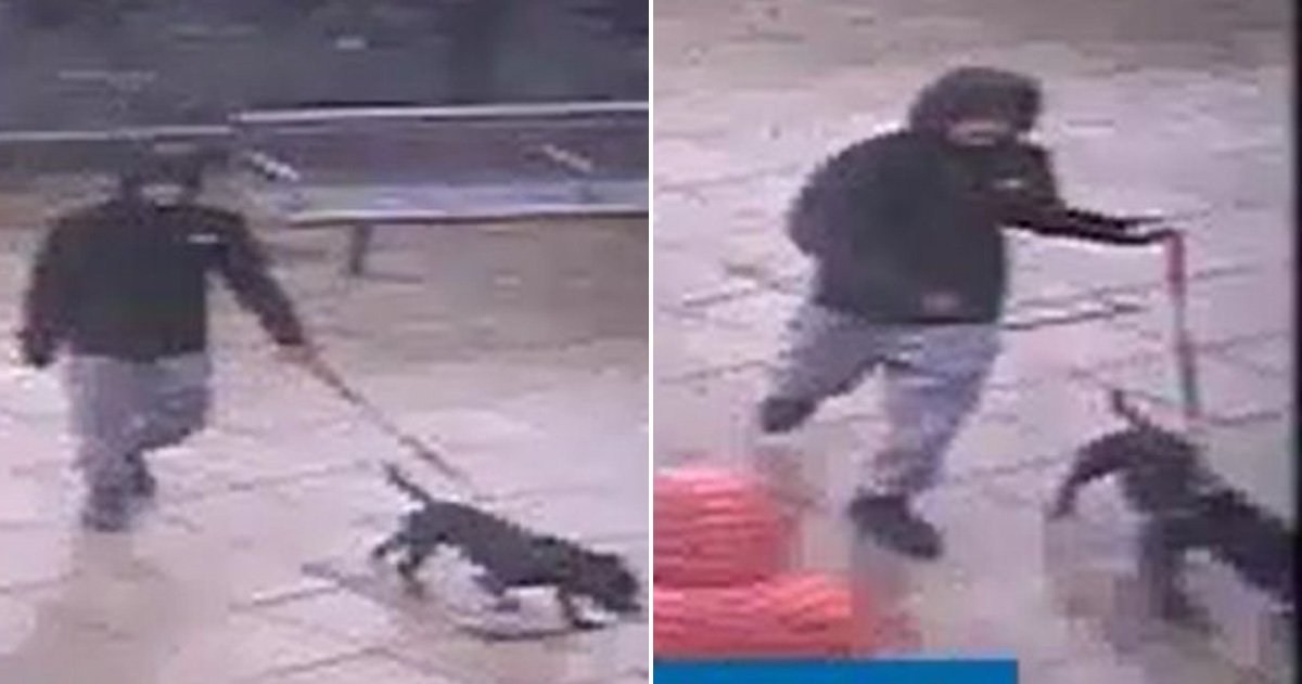 Child, four, bitten and dragged along the ground by dog at shopping centre