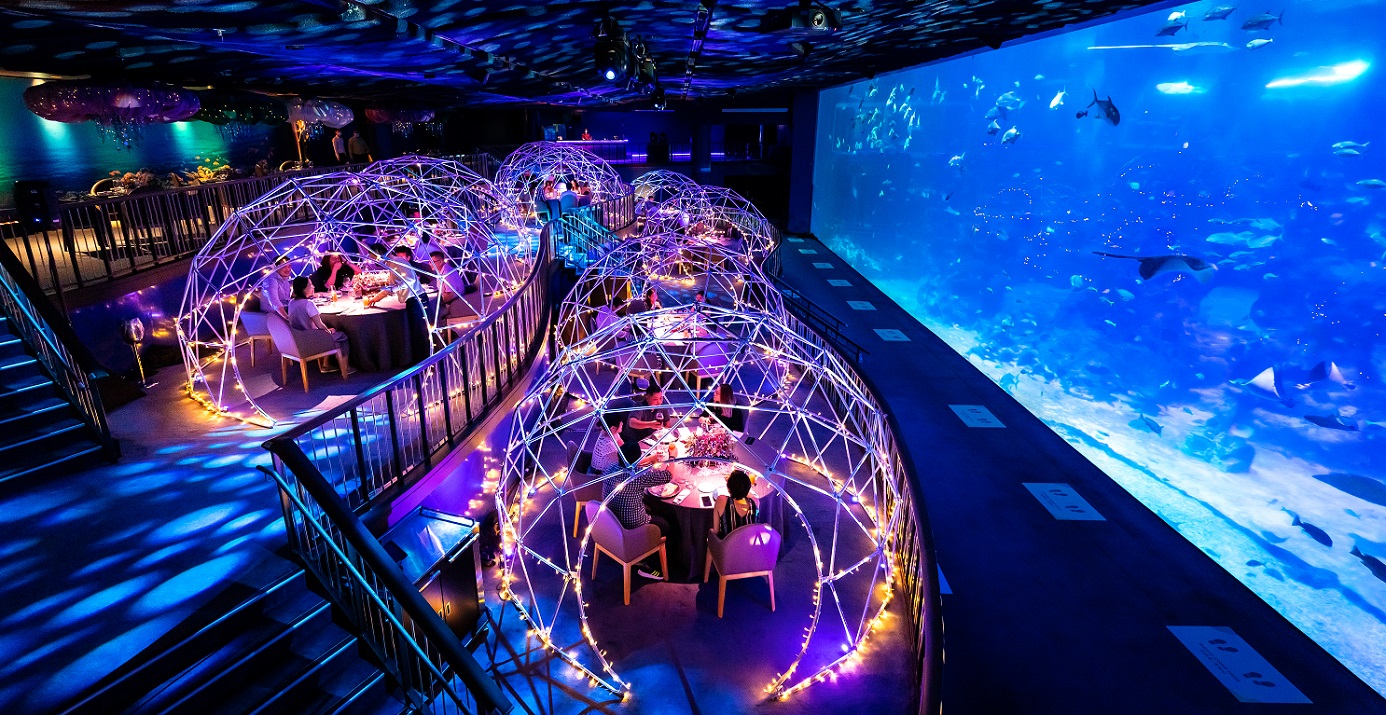 Dine in a bubble under the sea at RWS' Aqua Gastronomy pop-up