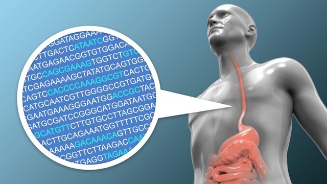 Predicting the Risk of Developing Esophageal Cancer Using Genomic Data