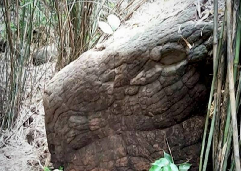 Vandalism closes famous 'snake' cave in Thailand
