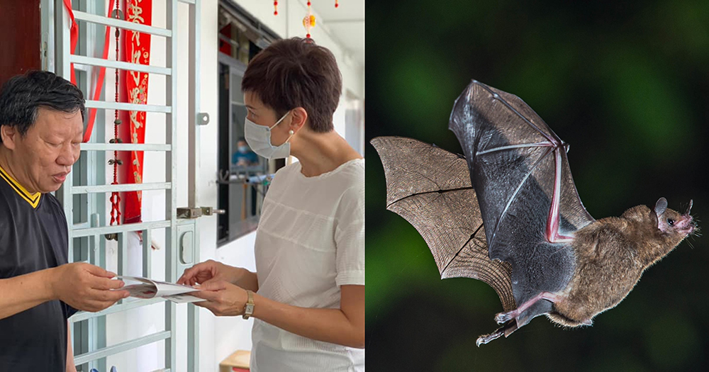 Boon Keng residents advised to hang shiny objects at windows to deter bats from entering: Josephine Teo