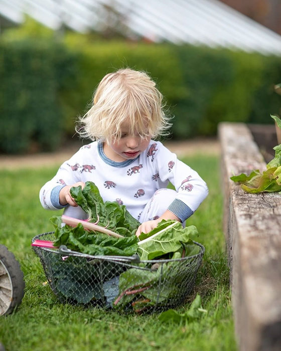 Jamie Oliver sends fans wild with rare picture of son River picking up vegetables