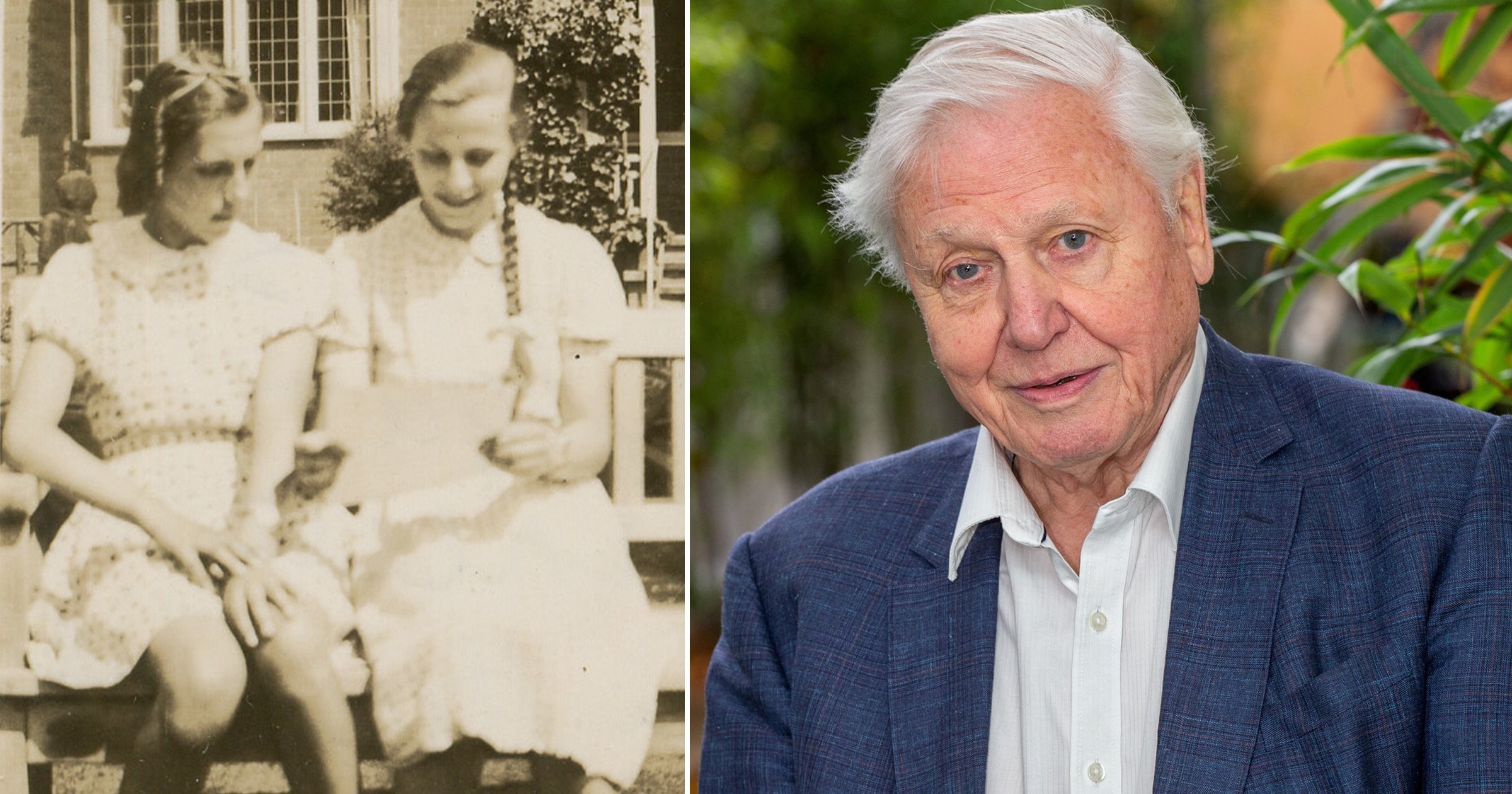 Sir David Attenborough reunites families of his Jewish refugee ‘sisters’ who stayed with his family during Second World War