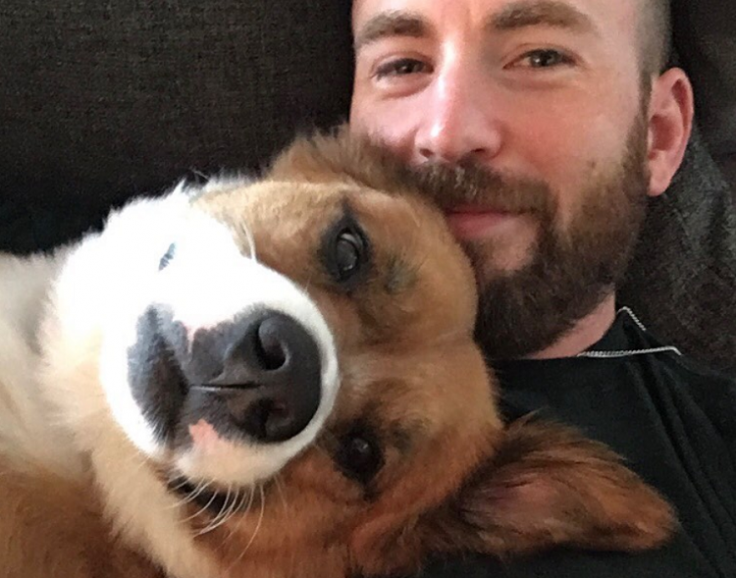 Chris Evans Accidentally Leaks Explicit Photo on Instagram, Fans Call it 'America's D**k'