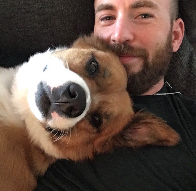 Avengers’ Chris Evans accidentally shares nude photo on Instagram