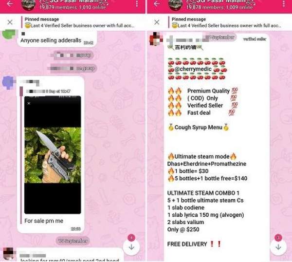 SG Telegram Group Offers Illicit Goods and Sexual Services
