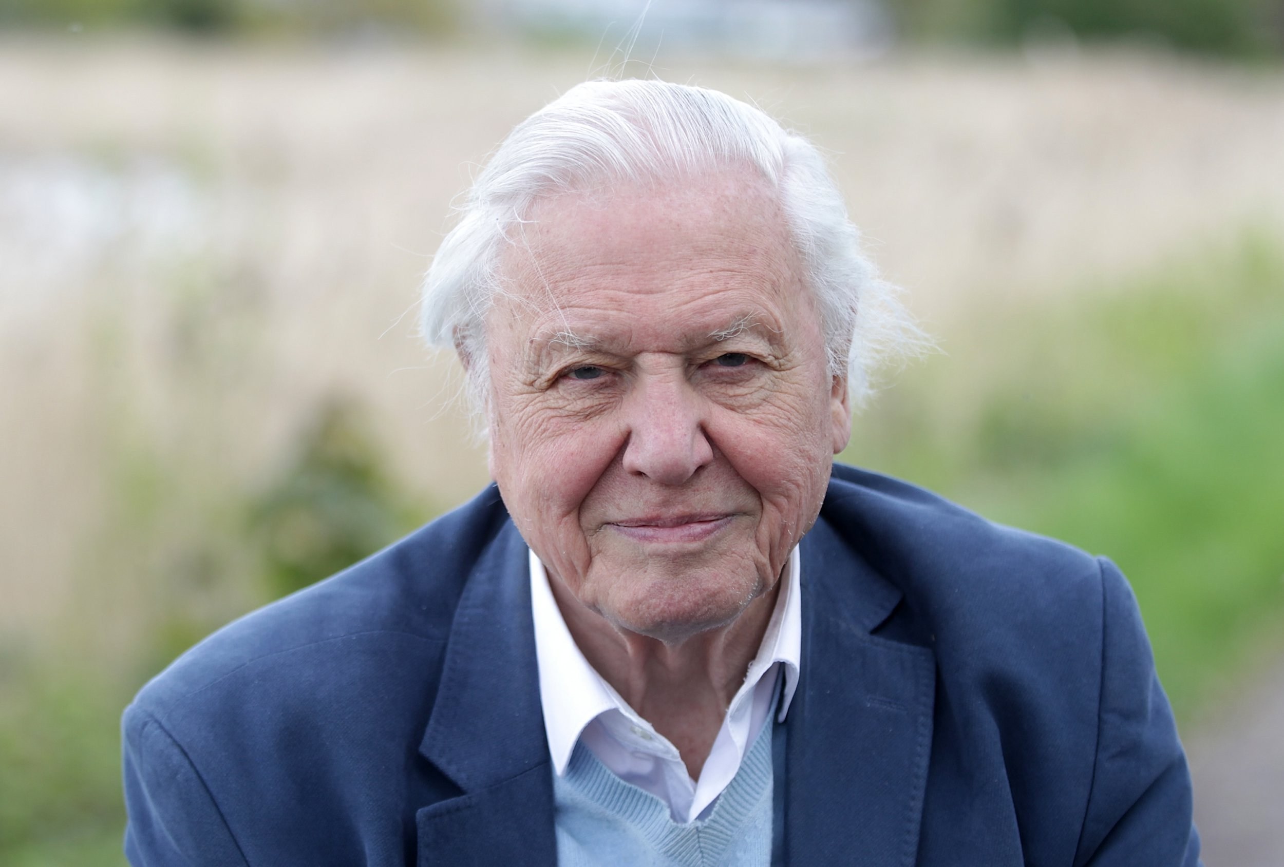 Sir David Attenborough thinks his generation ‘muffed’ chance to save natural world: ‘The world belongs to young people’