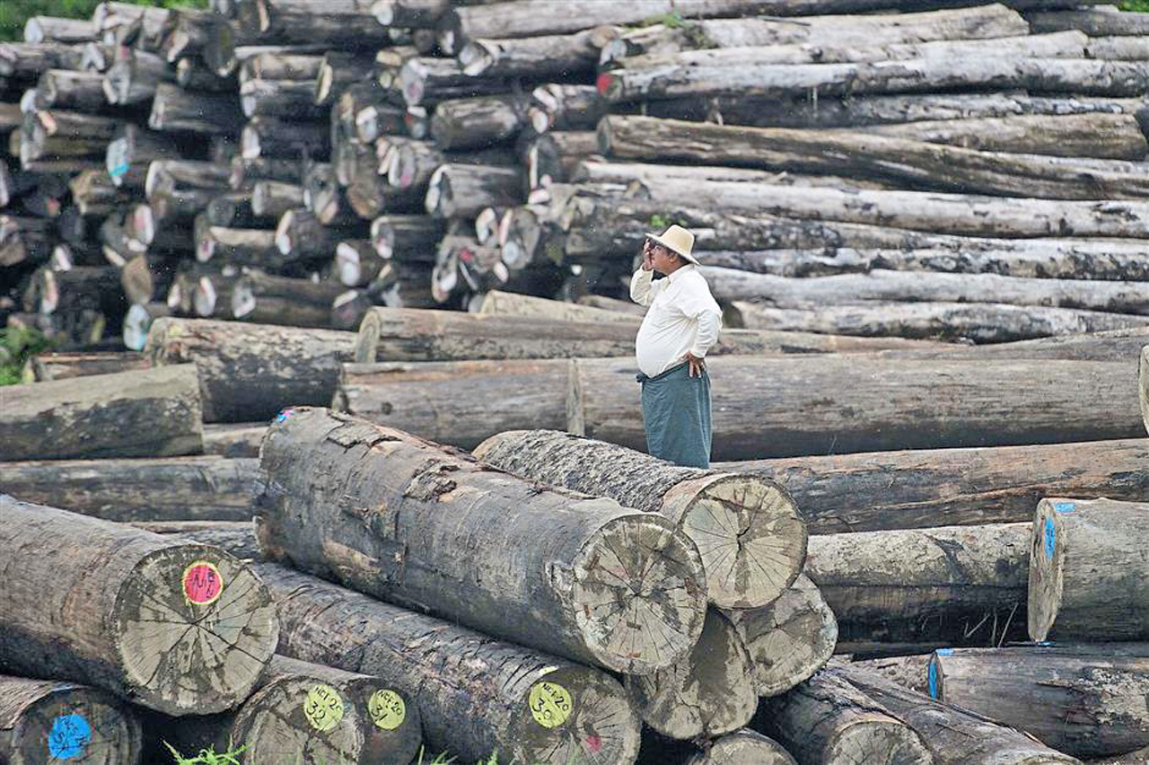 Wong calls on state govt to review all certified timber licences which received longer tenure