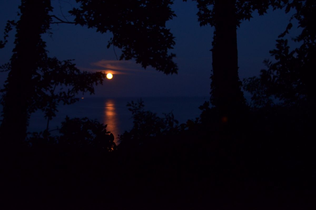 How to see the full moons on Oct. 1 and Halloween