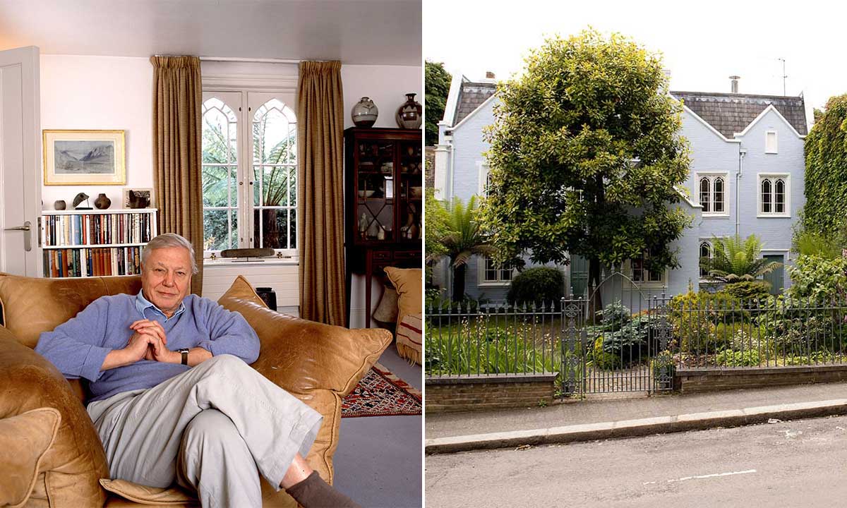 David Attenborough's beautiful London home revealed