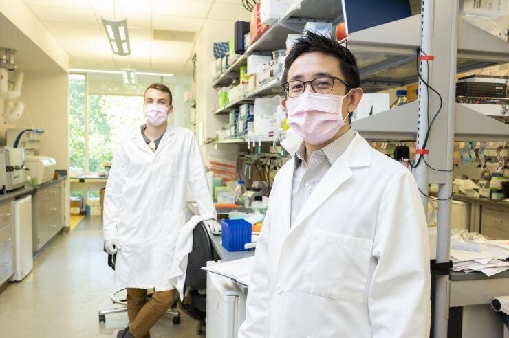Programmable medicine is the goal for new bio-circuitry research