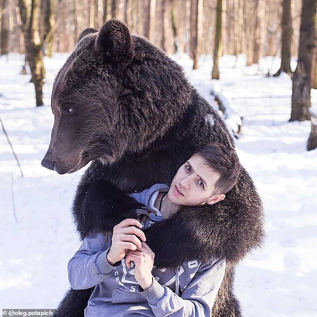 Russian circus worker mauled to death by a bear that scalped him when he entered its cage 'was teaching himself to become a trainer'