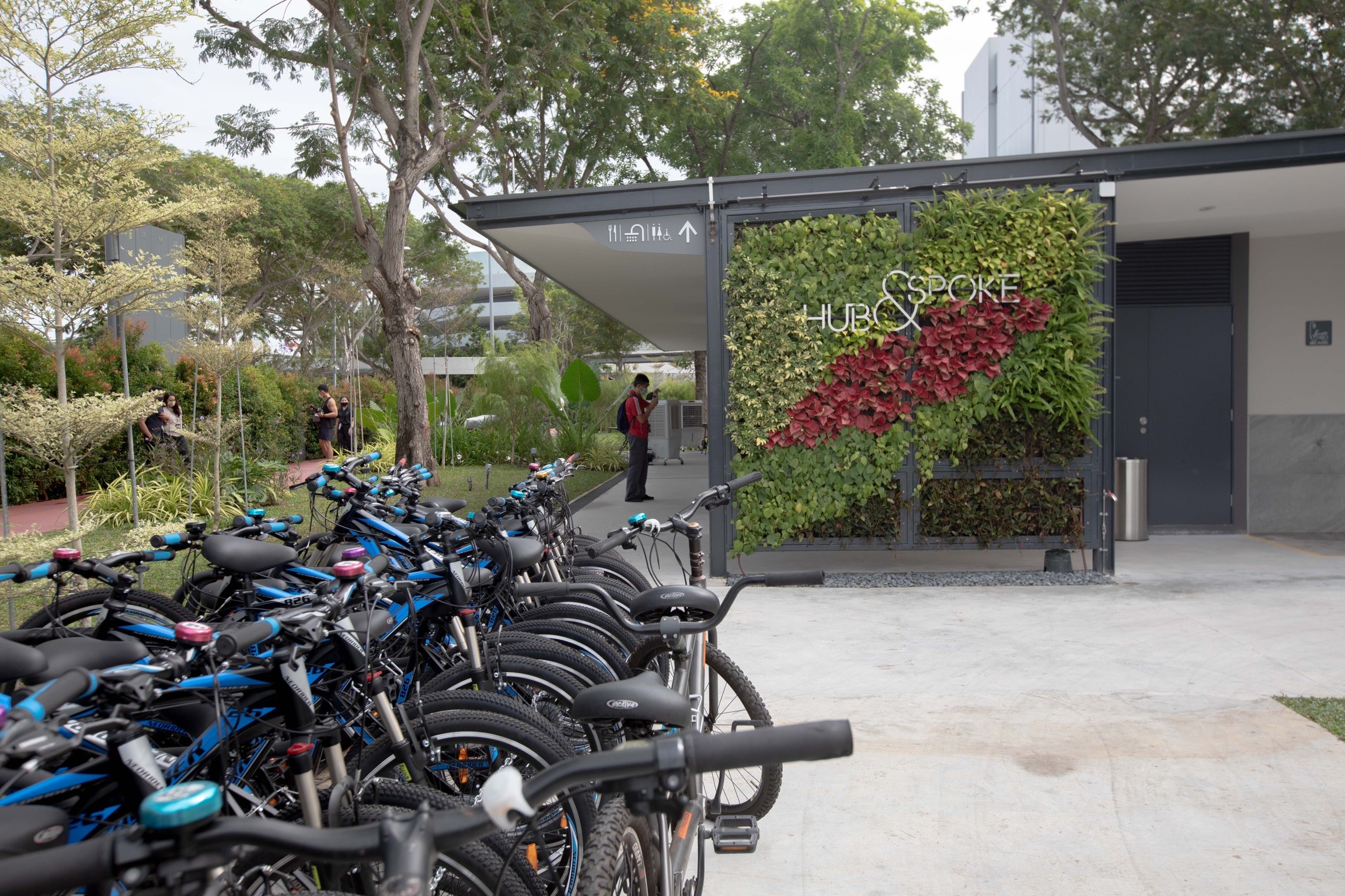 New 3.5km cycling, jogging path linking East Coast Park and Changi Airport launched