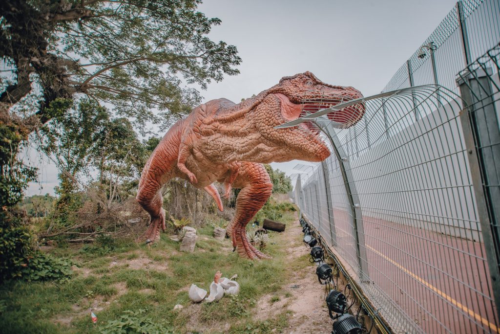 10 Facts About Changi Airport Connector, A New Attraction That’s FOC
