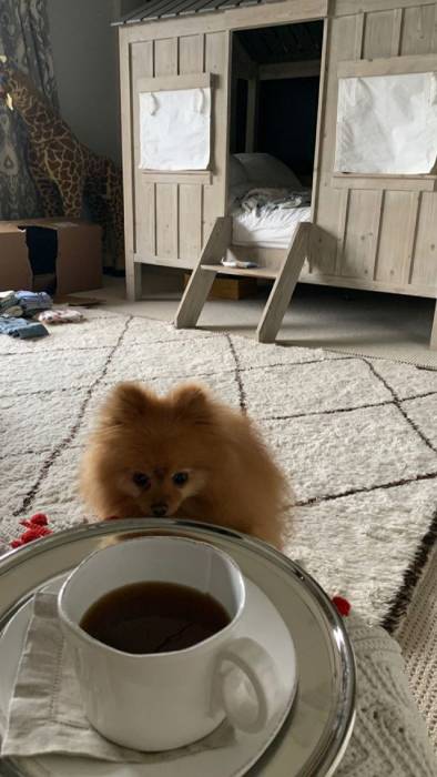 Kourtney Kardashian shares glimpse inside son Reign's bedroom – complete with homemade den