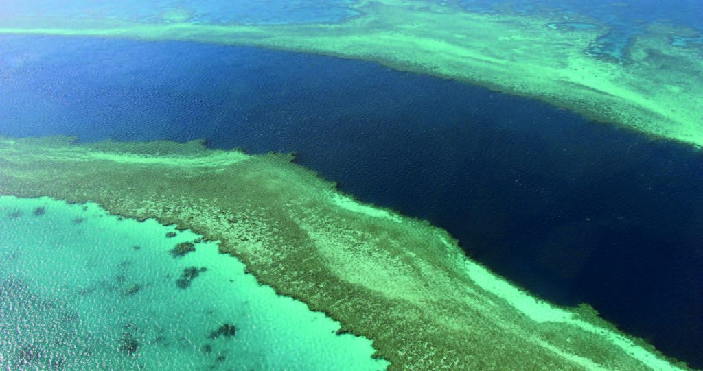 Great Barrier Reef’s corals in steep decline