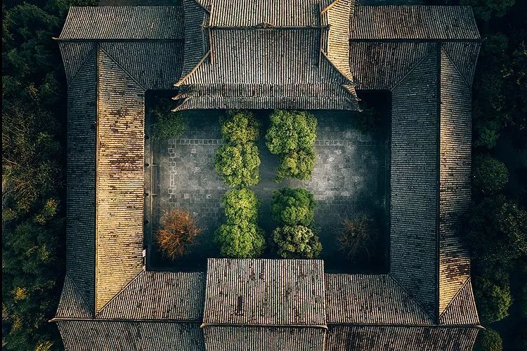 想和你有个菜园，春种秋收，悠然到老