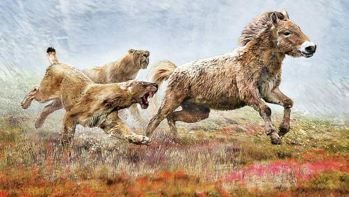 Researchers Sequence Genome of Extinct Scimitar-Toothed Cat | Genetics, Paleontology