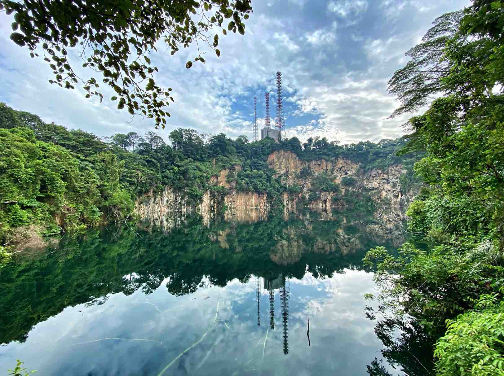 Bukit Timah Nature Reserve – Explore Singapore Hidden Nature Gem