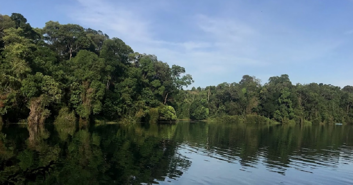 Teenagers lost @ macritchie reservoir, searching for hidden shrine