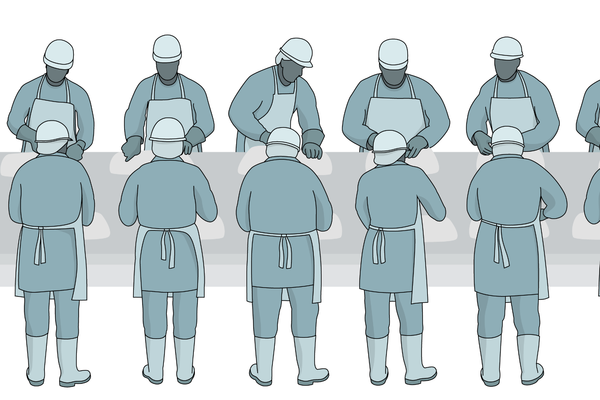 OSHA Under Fire Over Regulation of Meatpacking in Pandemic