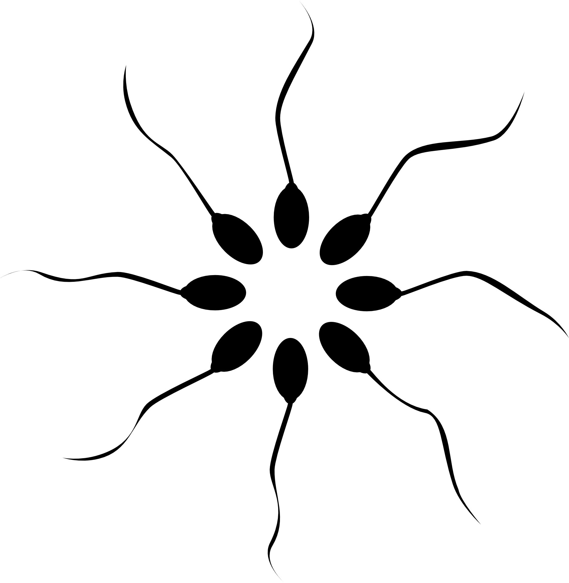 High-fat diet in childhood may affect sperm later in life