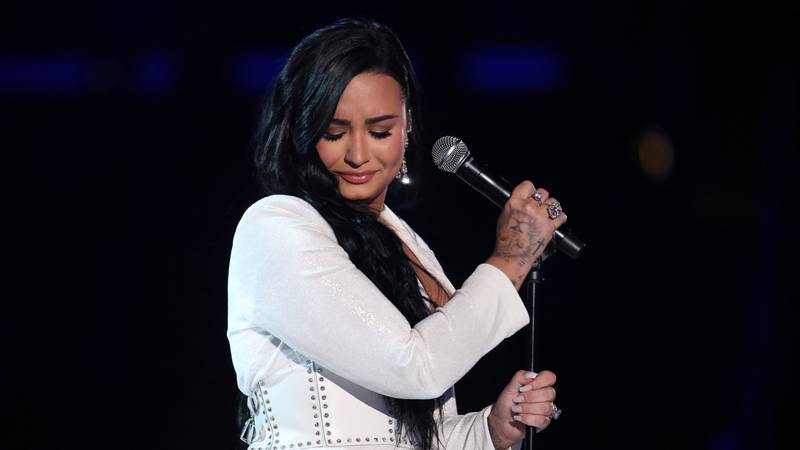 Demi Lovato Ripped For Sharing Two Very Different Photos Of Turkeys