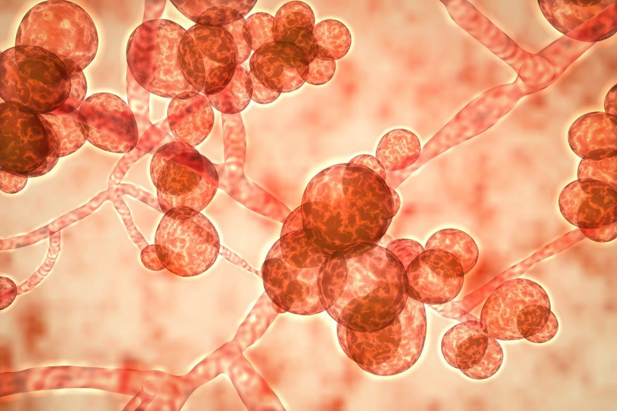 Hong Kong battling potentially deadly superbug authorities say could have spread because isolation facilities are being used in fight against Covid-19