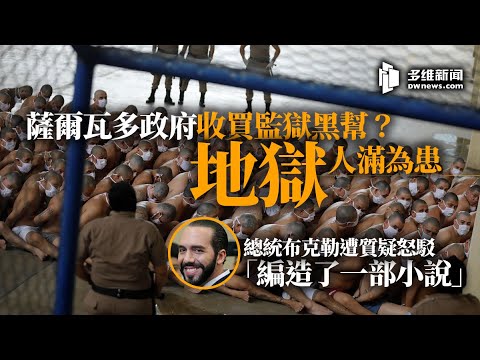 萨尔瓦多收买监狱黑帮？总统布克勒遭质疑怒驳「编造了一部小说」