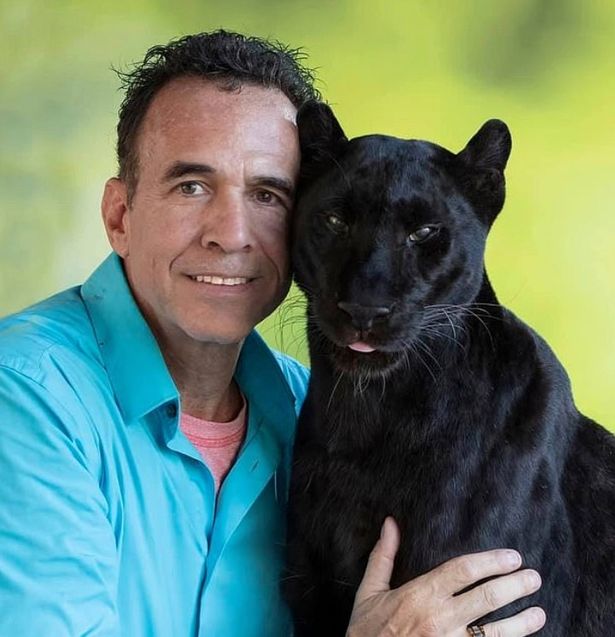 Man scalped by leopard after paying £100 for 'full contact experience' with big cat
