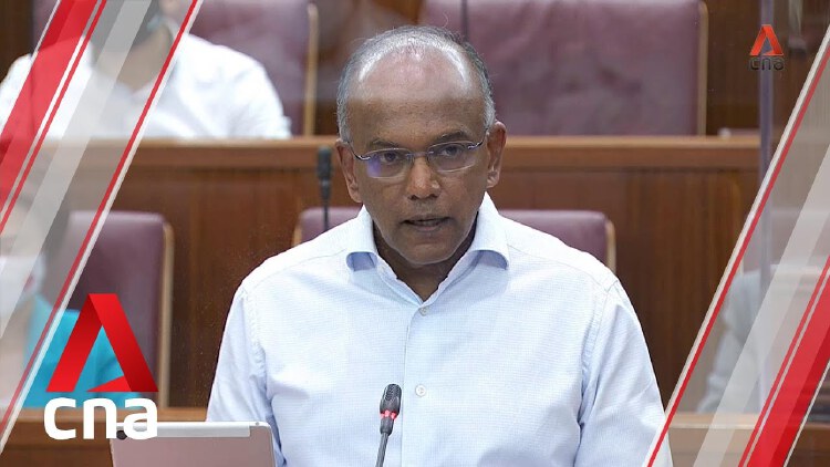 Parti Liyani Case Liew Mun Leong Did Not Influence Proceedings Shanmugam Tells Parliament Nestia